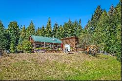 Log Cabin on Creek