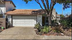 313 Ladona Court, Modesto CA 95354