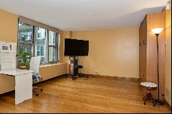 400 E randolph Street #2914, Chicago IL 60601