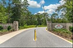 Lot 17 Redfish Point Drive, Freeport FL 32439