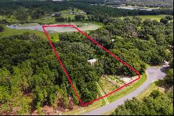 17123 SE 173rd Terrace Road, Weirsdale FL 32195