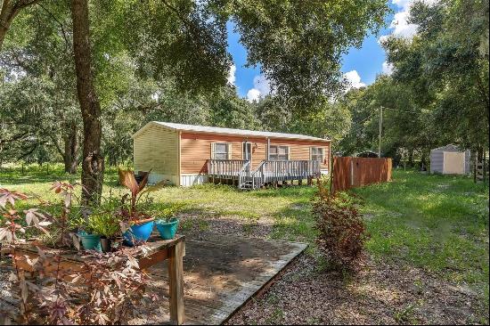 17123 SE 173rd Terrace Road, Weirsdale FL 32195