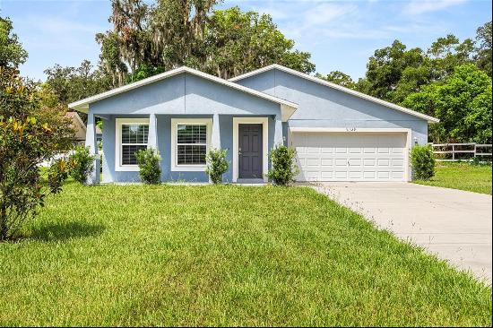 31329 Church Street, Sorrento FL 32776