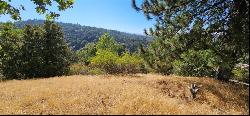 0 Edelweiss Drive, Crestline CA 92325