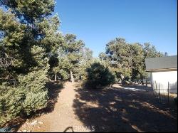 0 Falling Springs Road, Big Bear City CA 92314