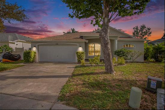 1839 Sunrise Dunes Court, Tarpon Springs FL 34689