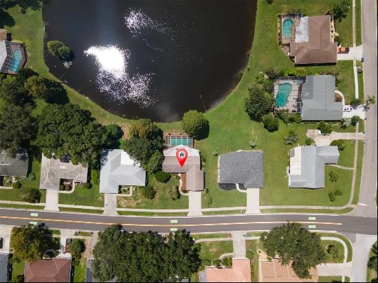 9223 Pebble Creek Drive, Tampa FL 33647