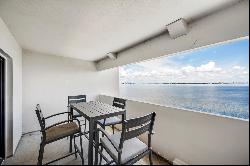 4141 Bayshore Boulevard #802, Tampa FL 33611