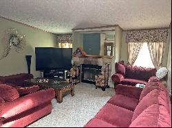 11753 VILLAGE PINES Court, Green Oak Township MI 48178