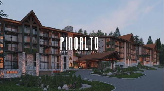 0 Pinoalto, 