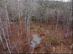 58 High River Crossing, Ellijay GA 30540