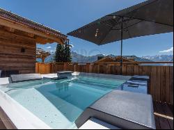 New luxury chalet