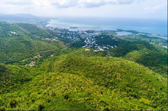 Virgin Islands (U.S.)