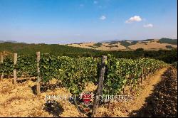 ORGANIC ESTATE WITH POOL AND VINEYARDS FOR SALE IN VAL DI CECINA, TUSCANY