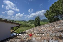 ORRGANIC WINE ESTATE FOR SALE IN ORVIETO, UMBRIA