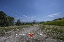 ORRGANIC WINE ESTATE FOR SALE IN ORVIETO, UMBRIA