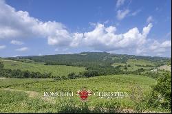 ORRGANIC WINE ESTATE FOR SALE IN ORVIETO, UMBRIA