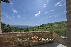 ORRGANIC WINE ESTATE FOR SALE IN ORVIETO, UMBRIA