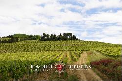 ORRGANIC WINE ESTATE FOR SALE IN ORVIETO, UMBRIA