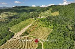 WINE ESTATE WITH 13.3 HA OF VINEYARDS FOR SALE, CHIANTI RUFINA