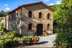 WINE ESTATE WITH 13.3 HA OF VINEYARDS FOR SALE, CHIANTI RUFINA