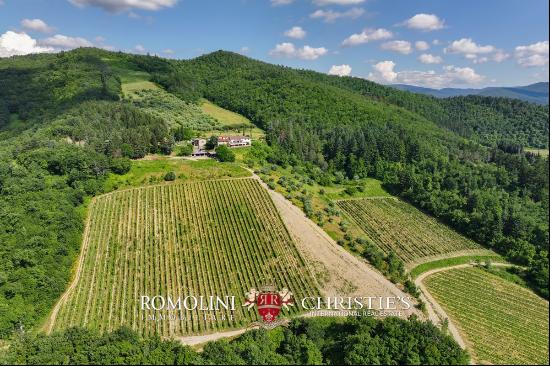 WINE ESTATE WITH 13.3 HA OF VINEYARDS FOR SALE, CHIANTI RUFINA