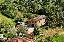 WINE ESTATE WITH 13.3 HA OF VINEYARDS FOR SALE, CHIANTI RUFINA