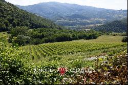 WINE ESTATE WITH 13.3 HA OF VINEYARDS FOR SALE, CHIANTI RUFINA