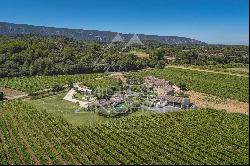 Ménerbes - Provencal farmhouse with swimming pools