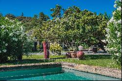 Ménerbes - Provencal farmhouse with swimming pools