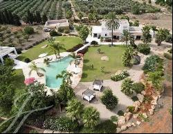 Original Finca with rental license