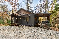 Tranquil Cabin- Income-Producing Vacation Rental near Downtown Blue Ridge