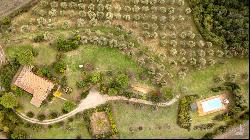 The Belvedere Stone House with pool and olive grove, Fabro - Umbria