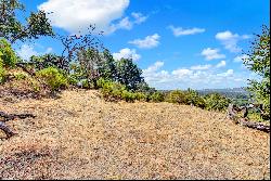 One Acre Parcel with Captivating Views