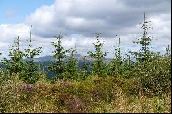 St. Catherines Forest, Cairndow, Cowal Peninsula, Argyll & Bute, PA25 8BB