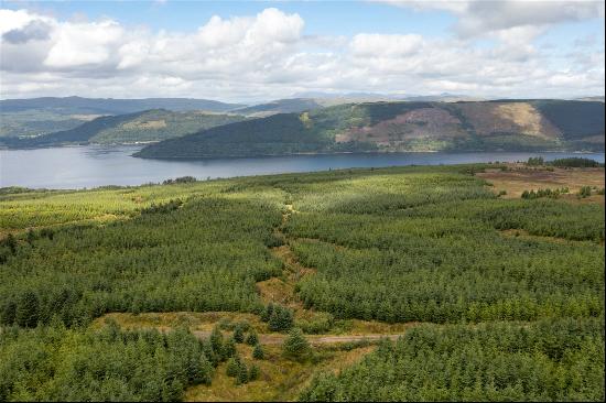 St. Catherines Forest, Cairndow, Cowal Peninsula, Argyll & Bute, PA25 8BB