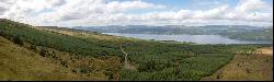 St. Catherines Forest, Cairndow, Cowal Peninsula, Argyll & Bute, PA25 8BB