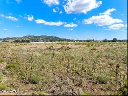 Silver Saddle Road, Flagstaff AZ 86004