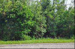 220011 Centennial, Dade City FL 33525