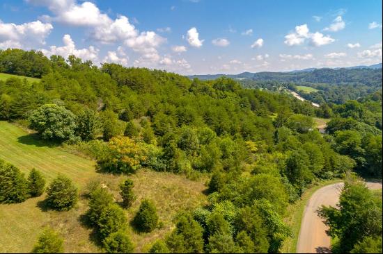 Lot 22 Lone Ash Rd, Barren Springs VA 24313