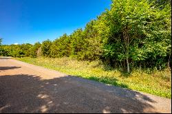 Lot 22 Lone Ash Rd, Barren Springs VA 24313