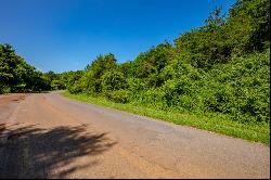 Lot 22 Lone Ash Rd, Barren Springs VA 24313