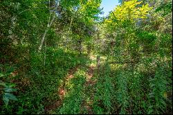 Lot 22 Lone Ash Rd, Barren Springs VA 24313