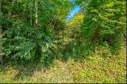 Lot 22 Lone Ash Rd, Barren Springs VA 24313