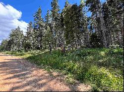 Lot 23 Elk Ridge Road, Angel Fire NM 97710