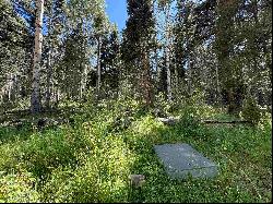 Lot 23 Elk Ridge Road, Angel Fire NM 97710