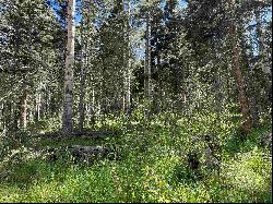 Lot 23 Elk Ridge Road, Angel Fire NM 97710