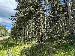 Lot 23 Elk Ridge Road, Angel Fire NM 97710