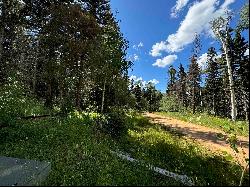 Lot 23 Elk Ridge Road, Angel Fire NM 97710