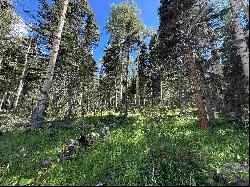 Lot 23 Elk Ridge Road, Angel Fire NM 97710